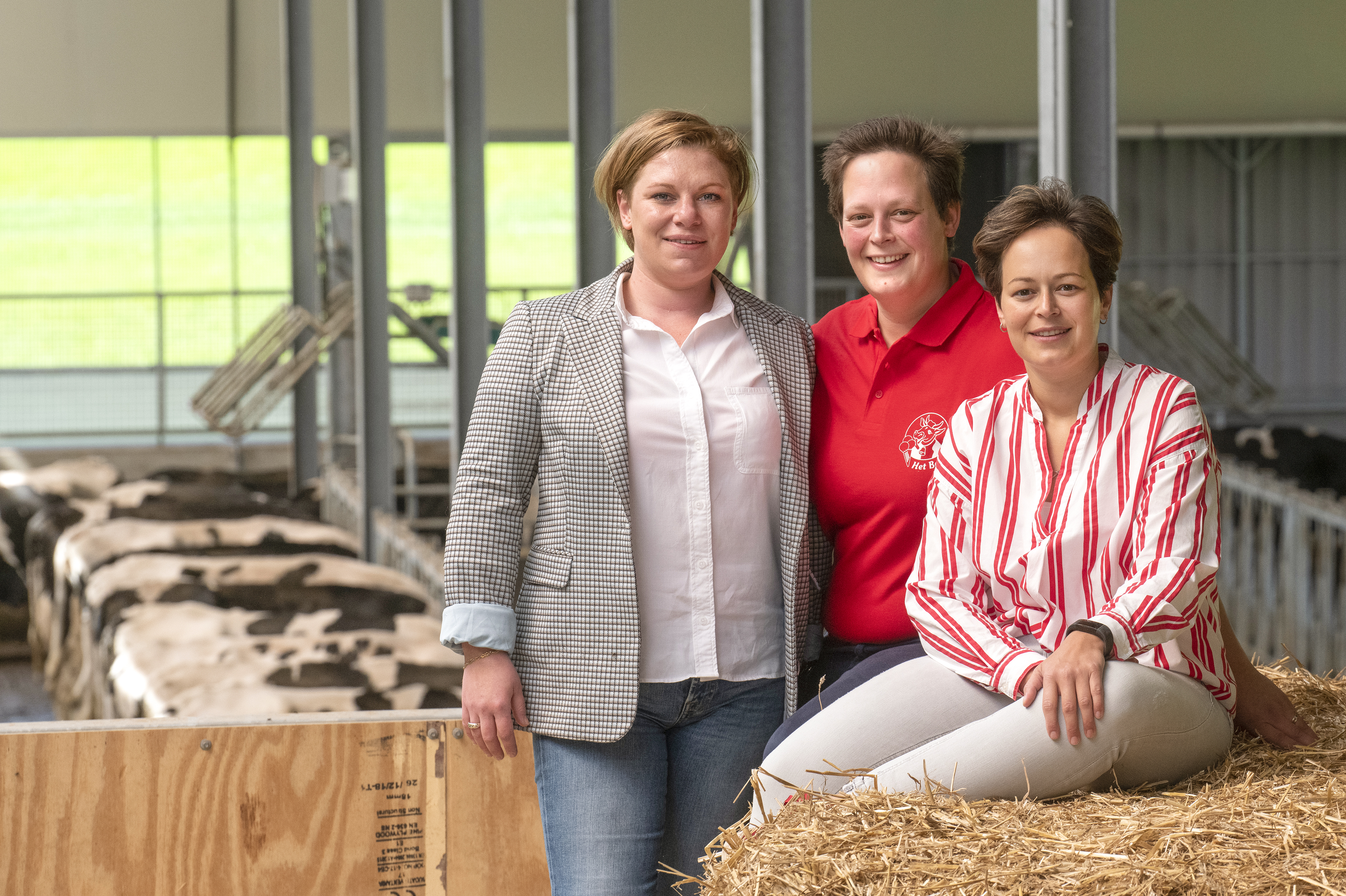 website_FN_A_Aertsen_Het_Boerenijsje_Loenhout.jpg fvf