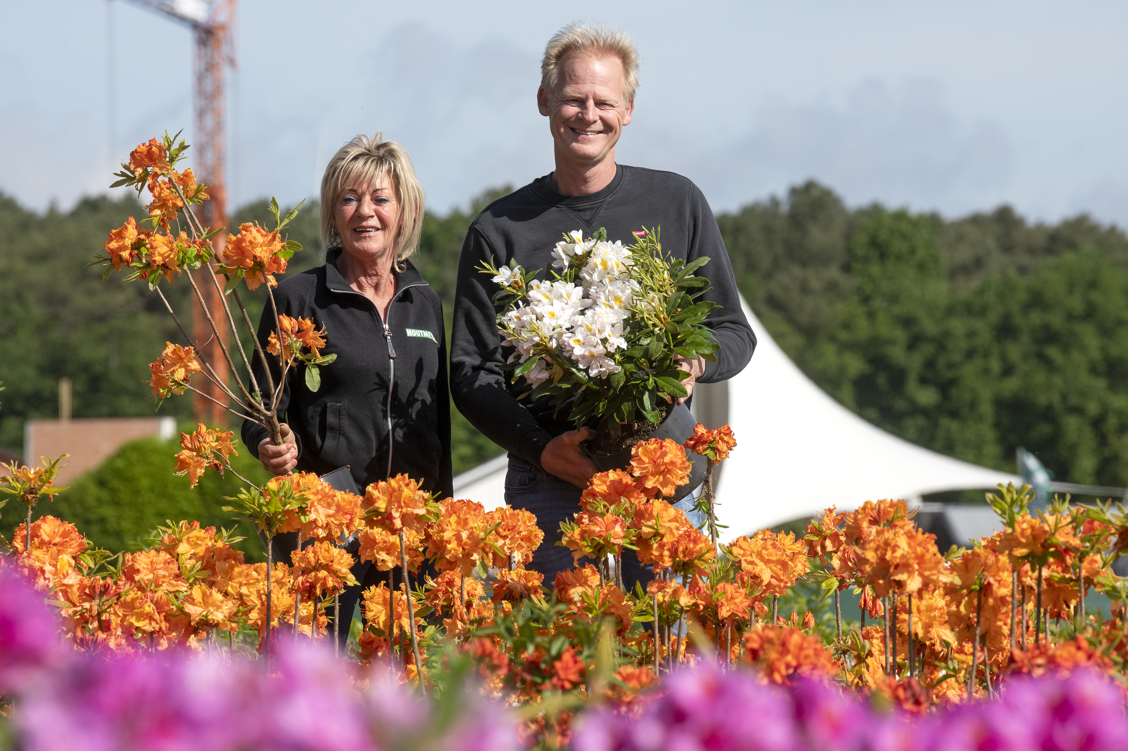 website_FN_A_Houtmeyers_Eindhout_Laakdal.jpg dfd
