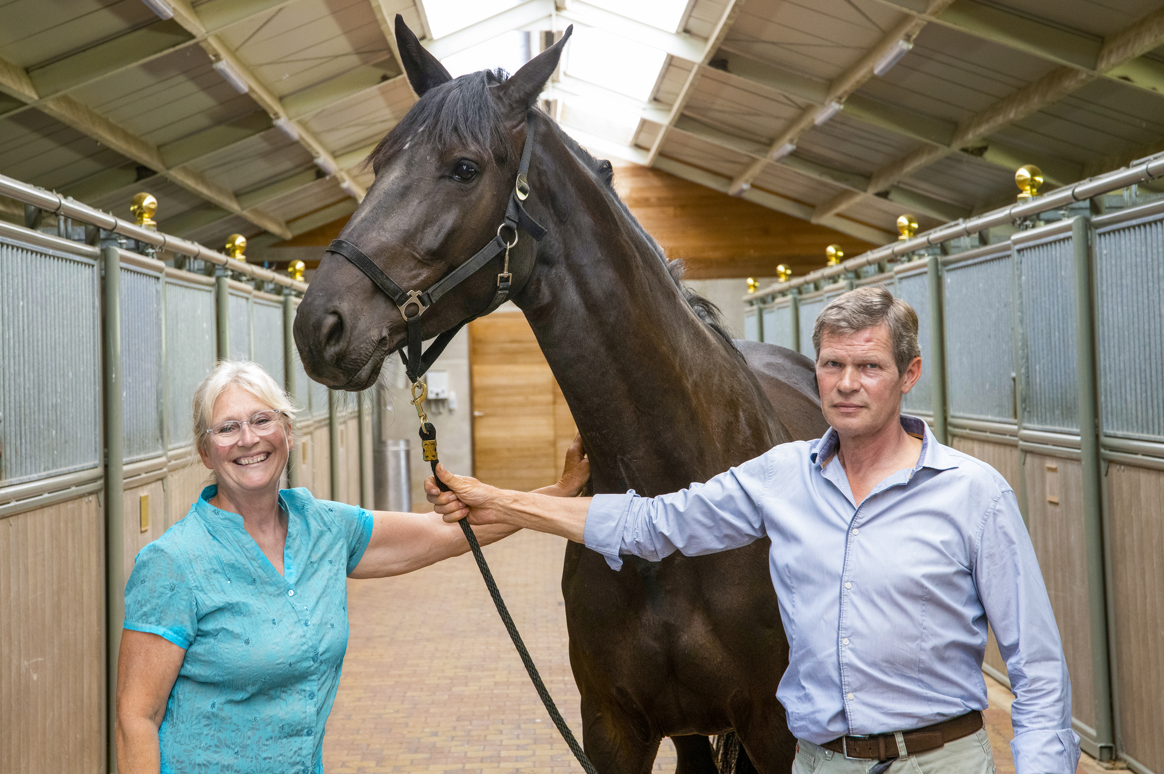 website_FN_OV_Claessens_DeCock_dOHorses_Moerzeke.jpg dfd