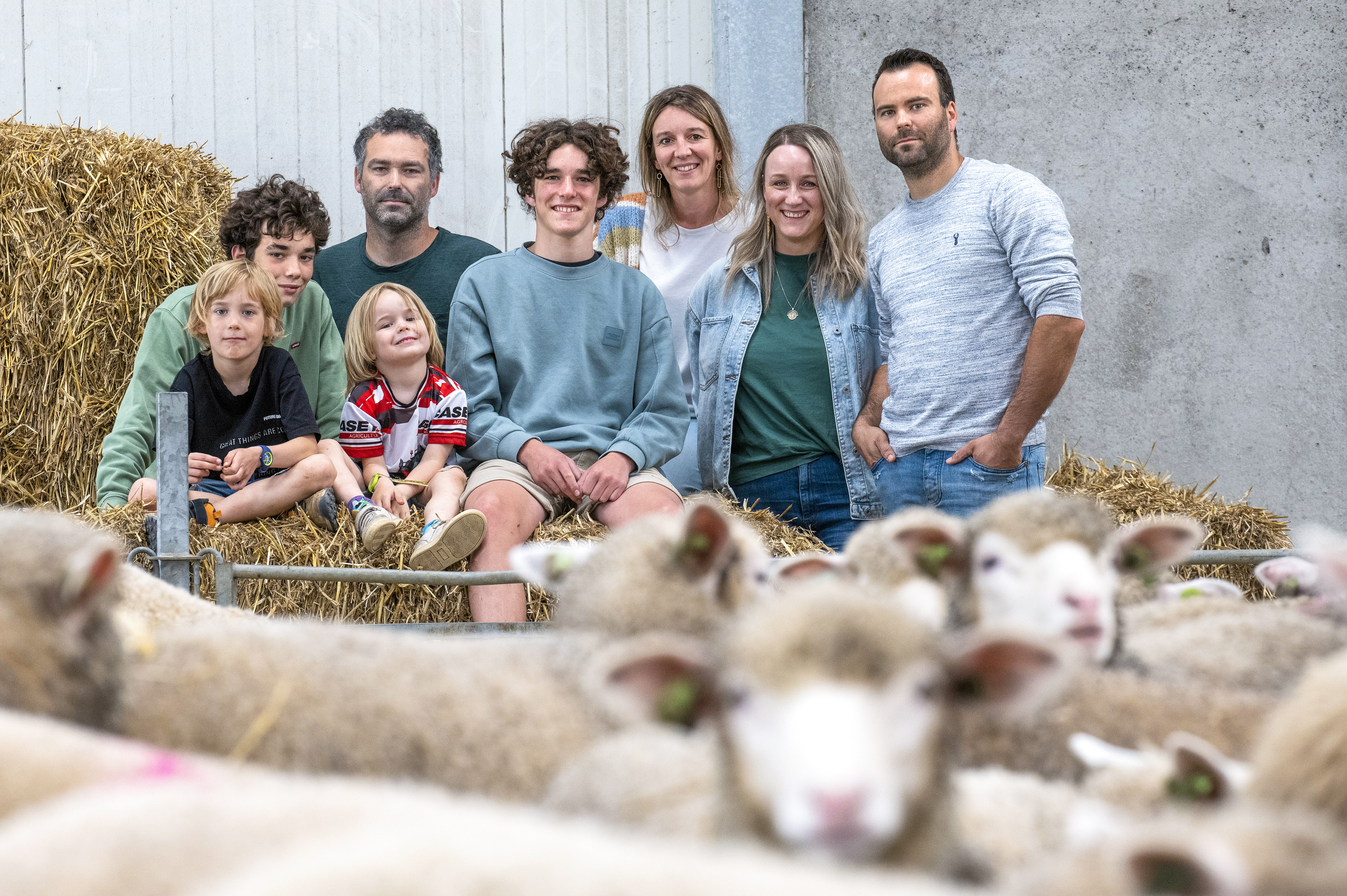 website_FN_OV_Michiels_Schapenhouderij_Appelterre.jpg dfd