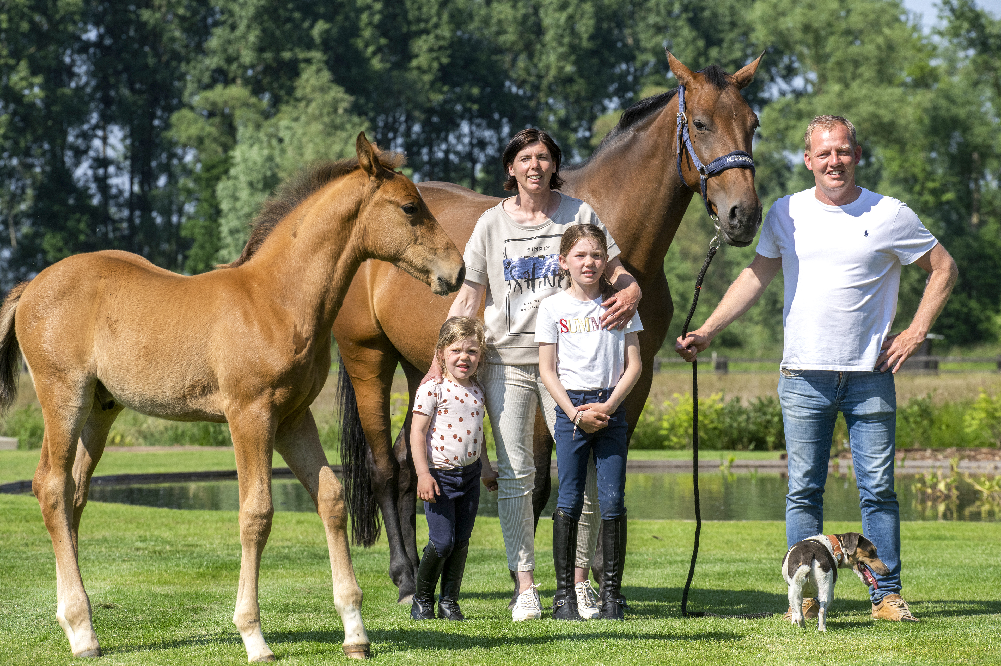 website_FN_VB_DeClerck_Eylenbosch _Sporthorses_Ternat.jpg fvf