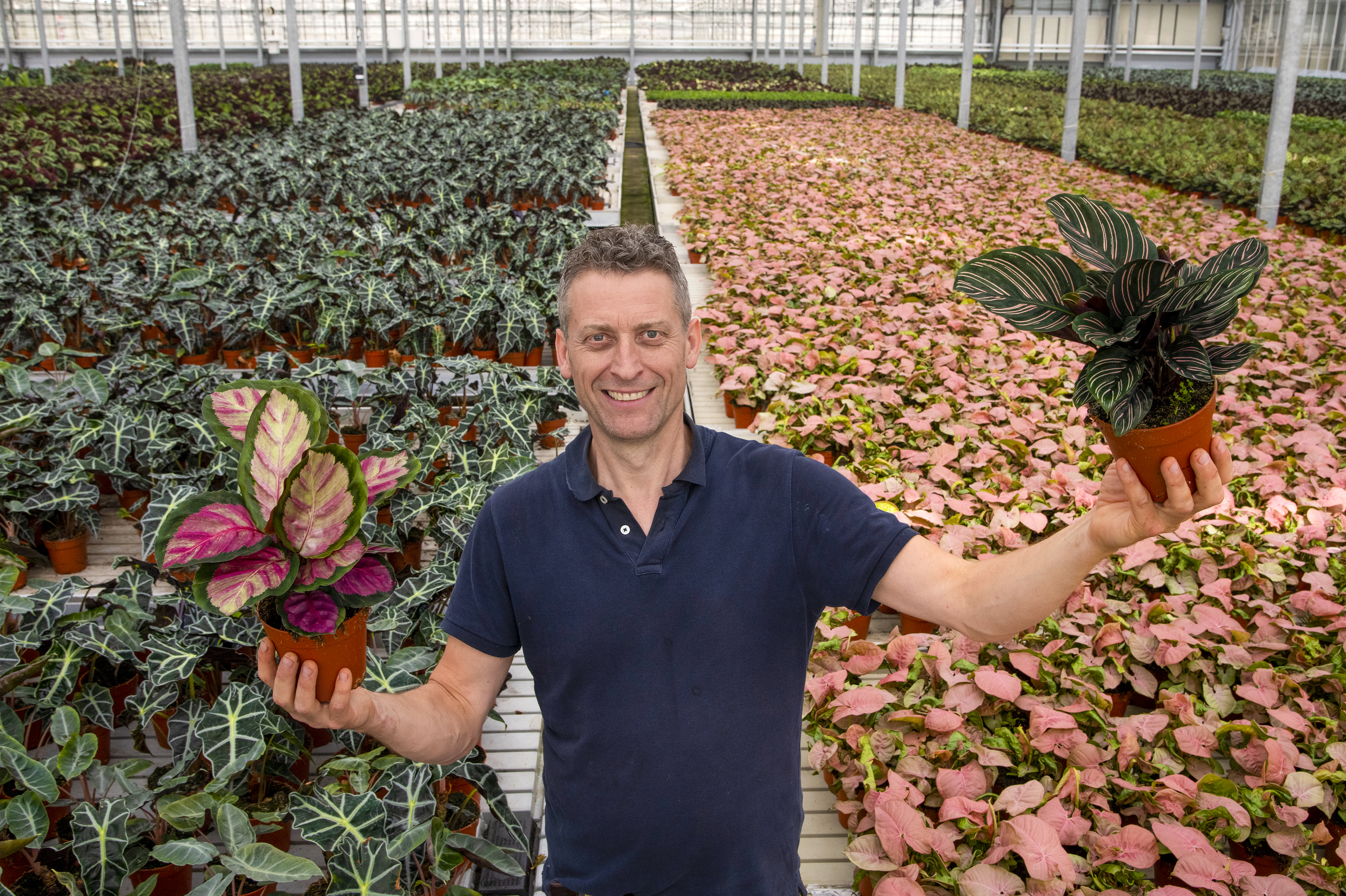 website_FN_WV_Demuynck_Dewitte_Horizon_Plants_Hulste.jpg dfd